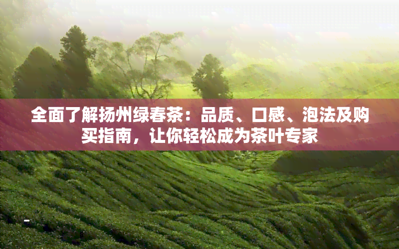 全面了解扬州绿春茶：品质、口感、泡法及购买指南，让你轻松成为茶叶专家