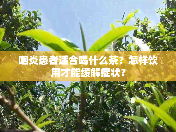 咽炎患者适合喝什么茶？怎样饮用才能缓解症状？