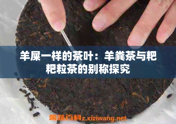 羊屎一样的茶叶：羊粪茶与粑粑粒茶的别称探究