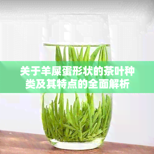 关于羊屎蛋形状的茶叶种类及其特点的全面解析