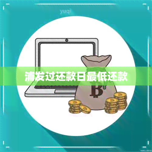 浦发过还款日更低还款