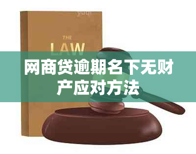 网商贷逾期名下无财产应对方法