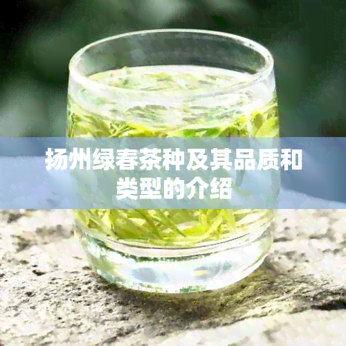 扬州绿春茶种及其品质和类型的介绍