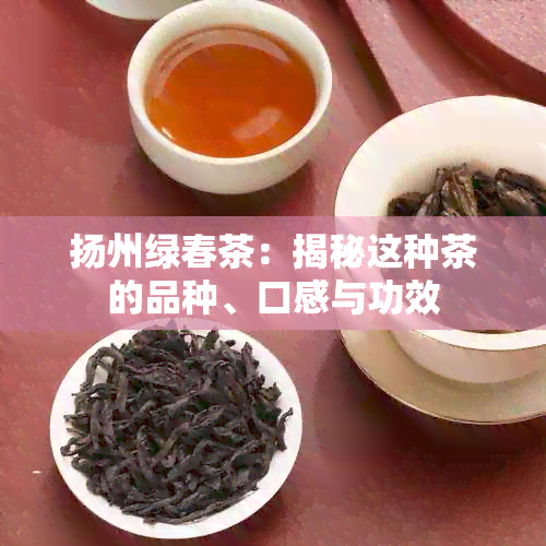 扬州绿春茶：揭秘这种茶的品种、口感与功效