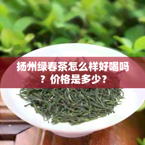 扬州绿春茶怎么样好喝吗？价格是多少？