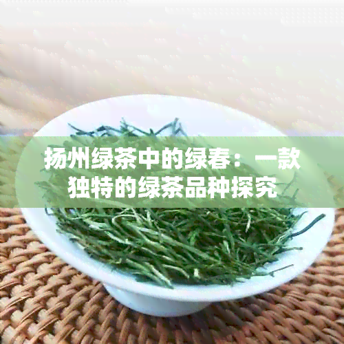 扬州绿茶中的绿春：一款独特的绿茶品种探究