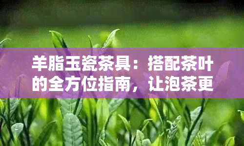 羊脂玉瓷茶具：搭配茶叶的全方位指南，让泡茶更美味