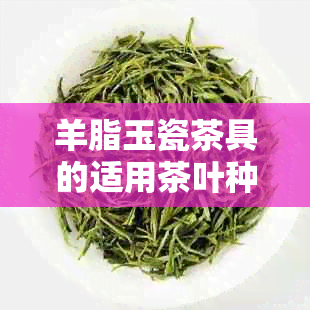 羊脂玉瓷茶具的适用茶叶种类：如何正确泡制和欣各种茶品？