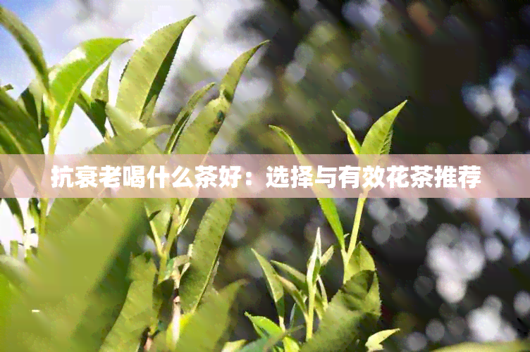 抗衰老喝什么茶好：选择与有效花茶推荐