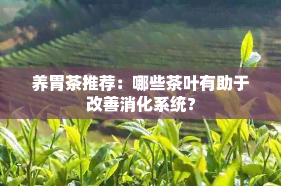 养胃茶推荐：哪些茶叶有助于改善消化系统？