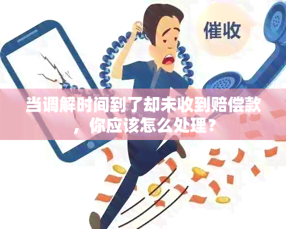 当调解时间到了却未收到赔偿款，你应该怎么处理？