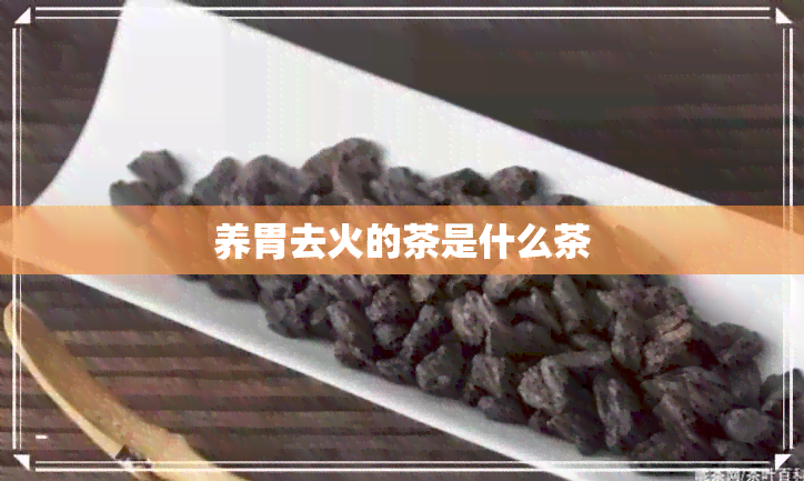 养胃去火的茶是什么茶