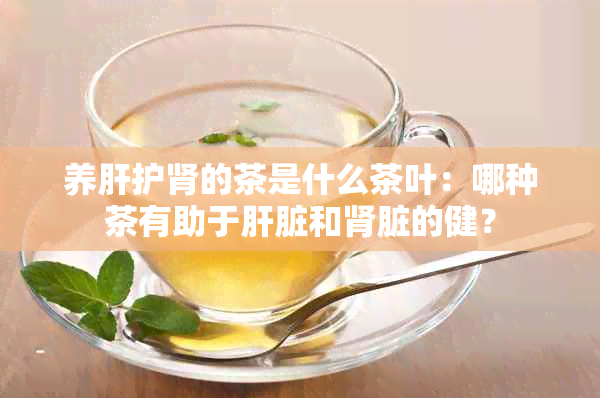 养肝护肾的茶是什么茶叶：哪种茶有助于肝脏和肾脏的健？