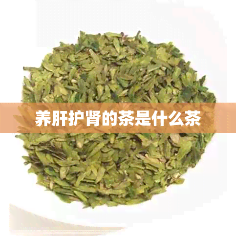 养肝护肾的茶是什么茶