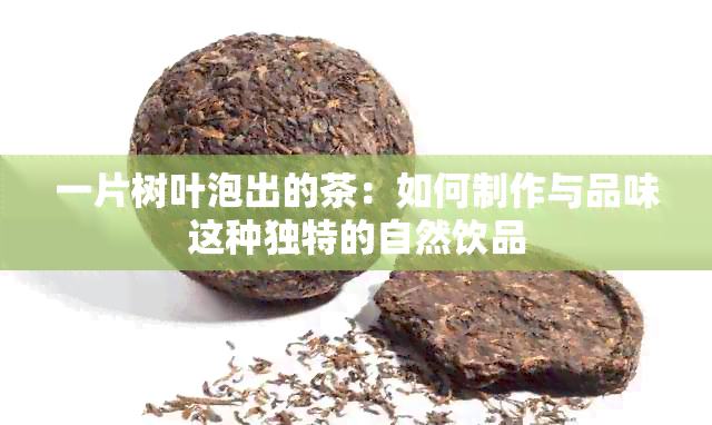 一片树叶泡出的茶：如何制作与品味这种独特的自然饮品