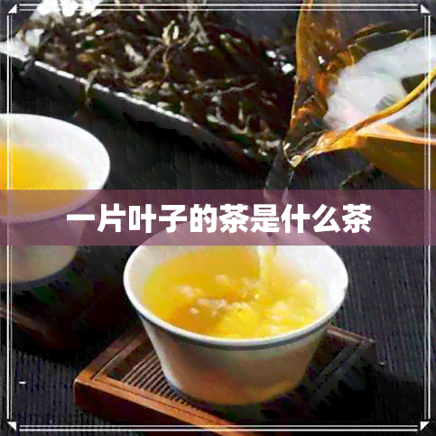 一片叶子的茶是什么茶