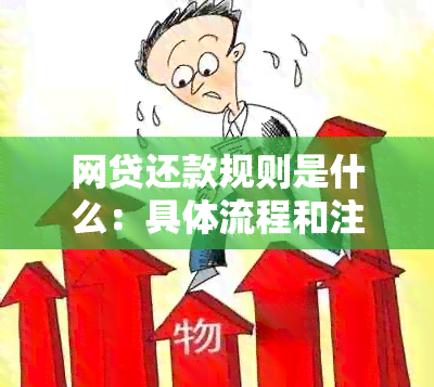 网贷还款规则是什么：具体流程和注意事项