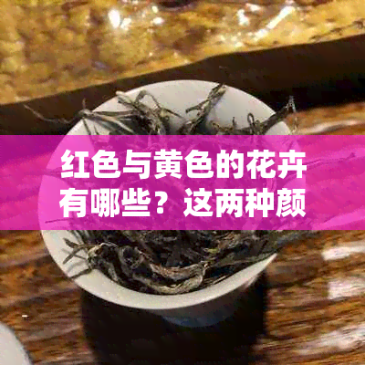 红色与黄色的花卉有哪些？这两种颜色的花分别属于哪些类别？