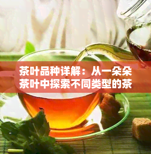 茶叶品种详解：从一朵朵茶叶中探索不同类型的茶