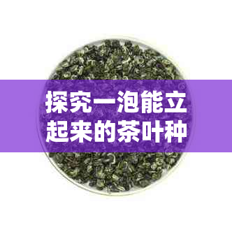 探究一泡能立起来的茶叶种类及其特点：从绿茶、红茶到乌龙茶全面解析