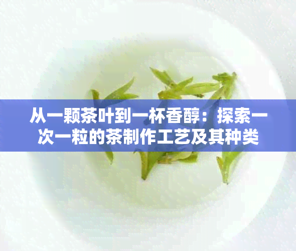 从一颗茶叶到一杯香醇：探索一次一粒的茶制作工艺及其种类