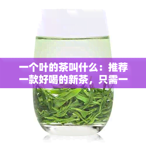 一个叶的茶叫什么：推荐一款好喝的新茶，只需一片叶子就能泡出浓香气！