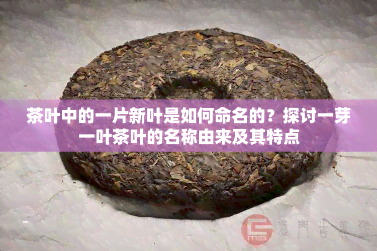 茶叶中的一片新叶是如何命名的？探讨一芽一叶茶叶的名称由来及其特点