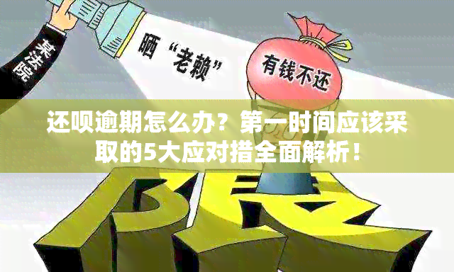 还款逾期怎么办？之一时间应该采取的5大应对措全面解析！