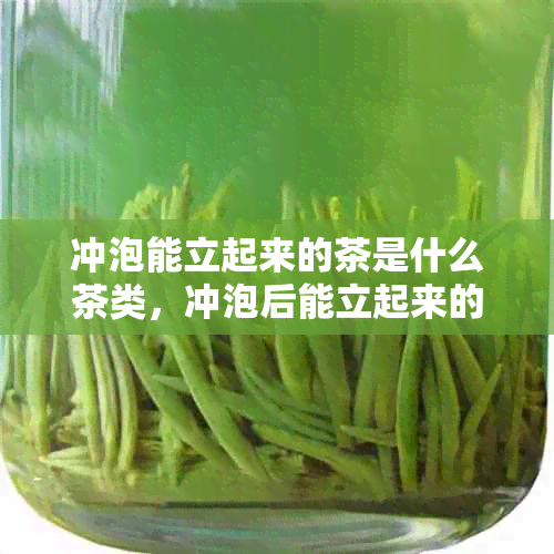 冲泡能立起来的茶是什么茶类，冲泡后能立起来的茶叫什么茶？