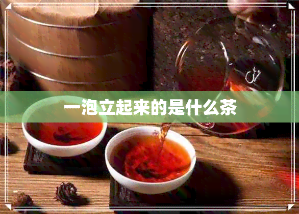 一泡立起来的是什么茶