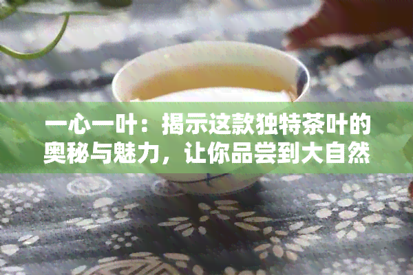 一心一叶：揭示这款独特茶叶的奥秘与魅力，让你品尝到大自然的馈赠