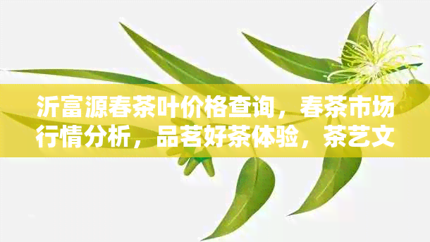 沂富源春茶叶价格查询，春茶市场行情分析，品茗好茶体验，茶艺文化传承。