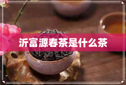 沂富源春茶是什么茶