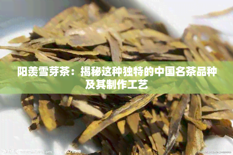 阳羡雪芽茶：揭秘这种独特的中国名茶品种及其制作工艺