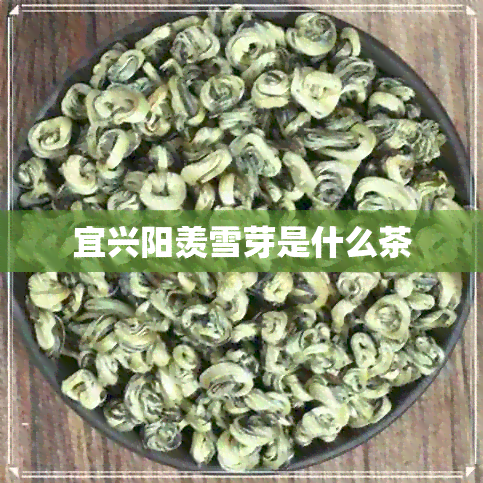 宜兴阳羡雪芽是什么茶