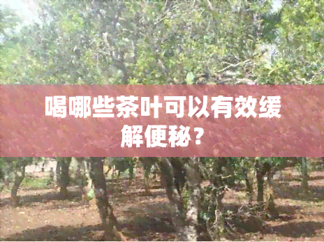 喝哪些茶叶可以有效缓解便秘？