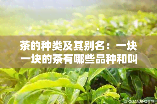 茶的种类及其别名：一块一块的茶有哪些品种和叫法？