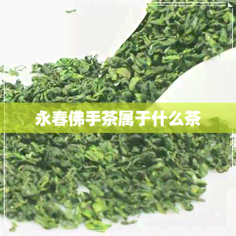 永春佛手茶属于什么茶