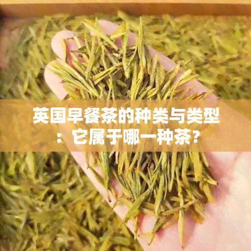 英国早餐茶的种类与类型：它属于哪一种茶？