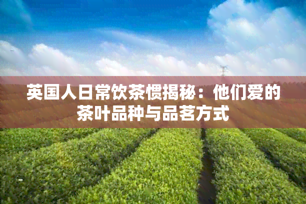 英国人日常饮茶惯揭秘：他们爱的茶叶品种与品茗方式