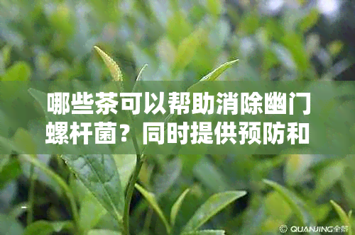 哪些茶可以帮助消除幽门螺杆菌？同时提供预防和缓解方法