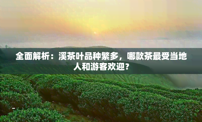 全面解析：溪茶叶品种繁多，哪款茶最受当地人和游客欢迎？