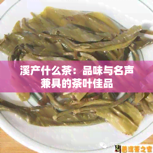 溪产什么茶：品味与名声兼具的茶叶佳品