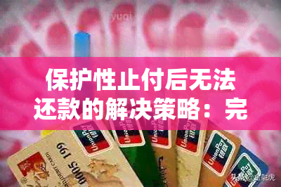 保护性止付后无法还款的解决策略：完整指南与建议