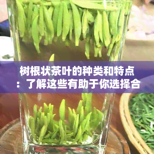 树根状茶叶的种类和特点：了解这些有助于你选择合适的茶