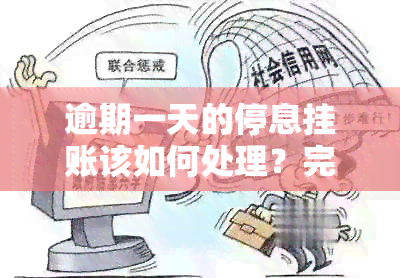 逾期一天的停息挂账该如何处理？完整解决方案及应对措一览