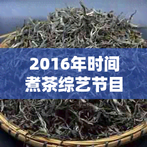 2016年时间煮茶综艺节目：完整播出列表、嘉宾阵容、成功秘诀及优缺点分析