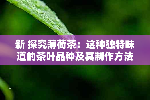 新 探究薄荷茶：这种独特味道的茶叶品种及其制作方法