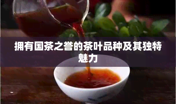 拥有国茶之誉的茶叶品种及其独特魅力