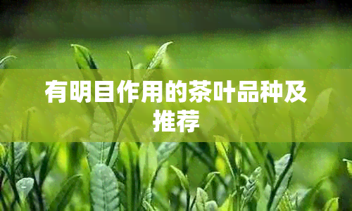 有明目作用的茶叶品种及推荐